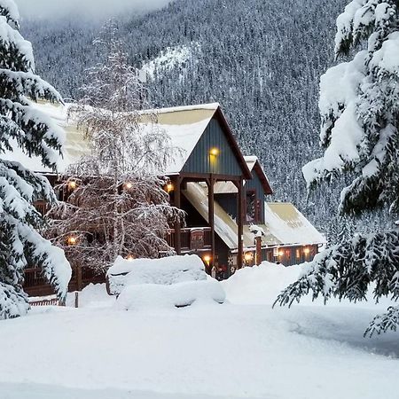 Truffle Pigs Lodge 필드 외부 사진