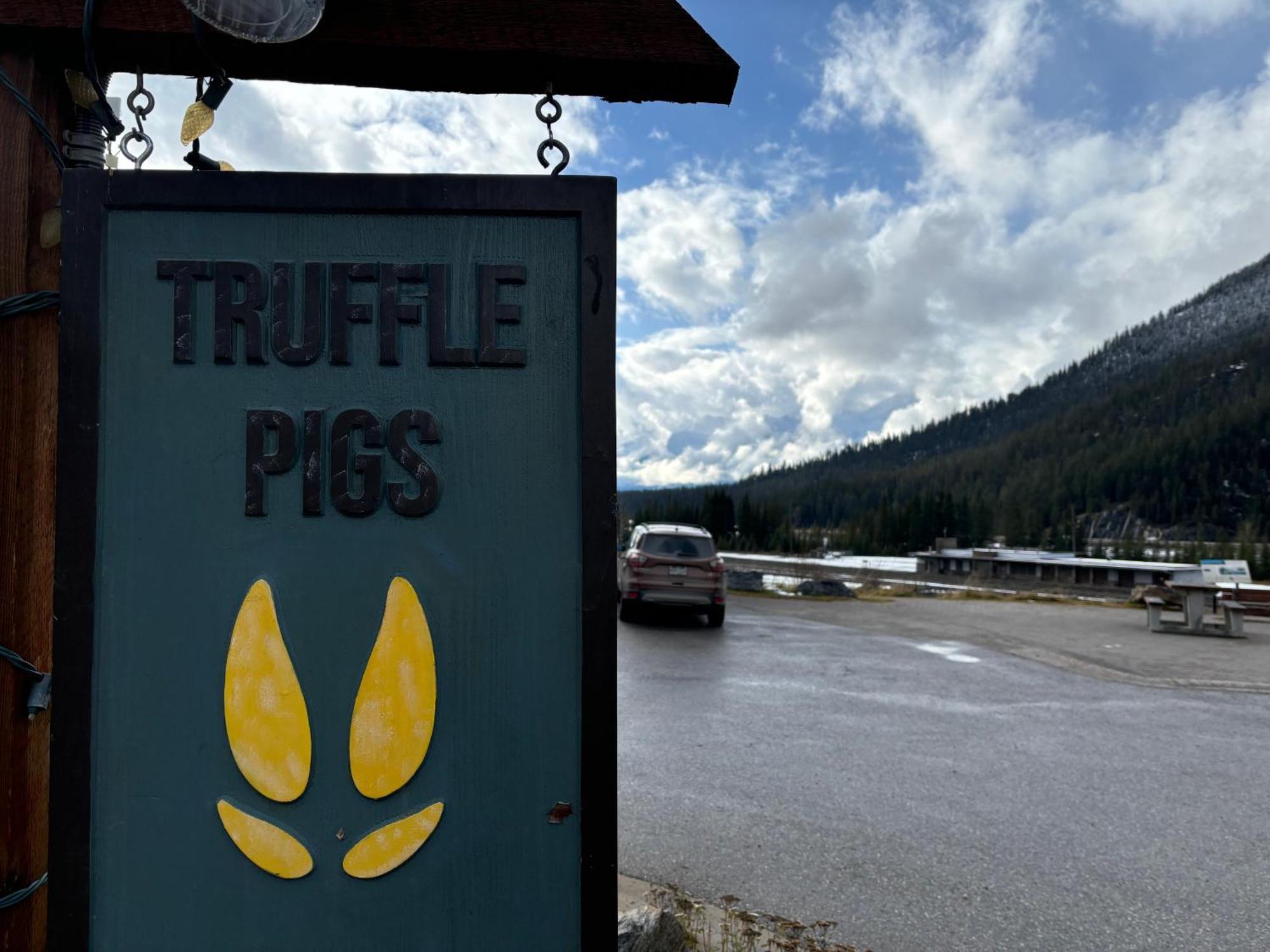 Truffle Pigs Lodge 필드 외부 사진